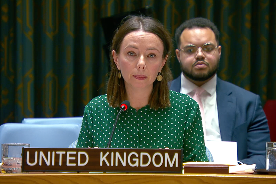 Birleşik Krallık, M23'ün Uvira saldırısını kınadı: BM Güvenlik Konseyi'nde açıklama
