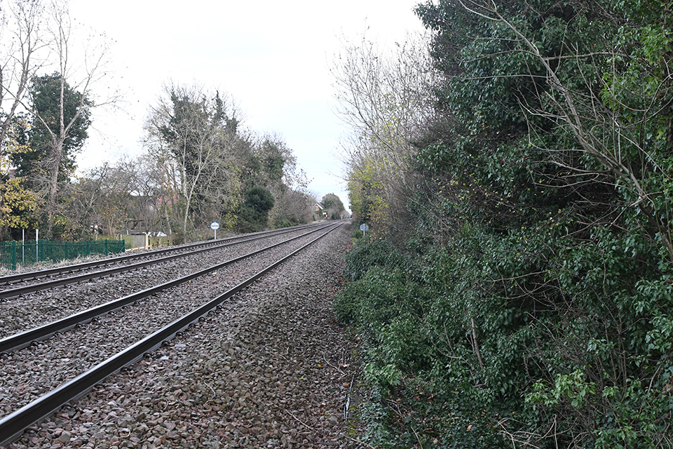 Chestnut Grove Yaya Geçidinde Ölümlü Kaza