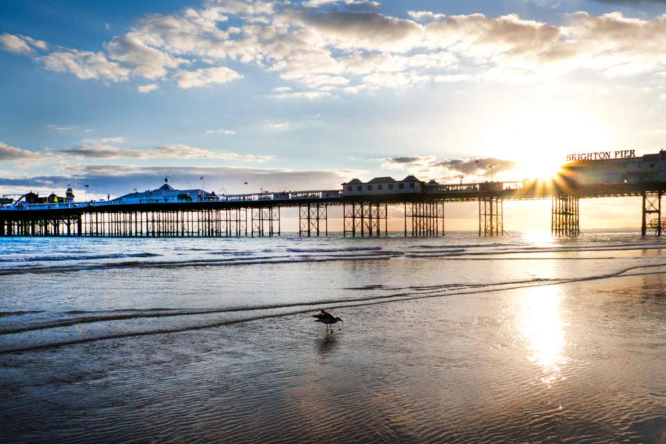 Boxing Day Yüzücüleri, Suların Temizlenmesi İçin Bir Yıllık Eylemle Güçleniyor