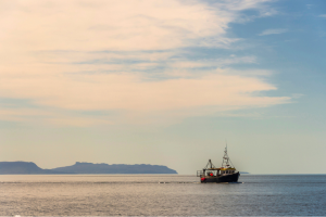 Yeni Su Ürünleri İhracatı Gereklilikleri 8 Ocak 2026'dan İtibaren Geçerli Olacak