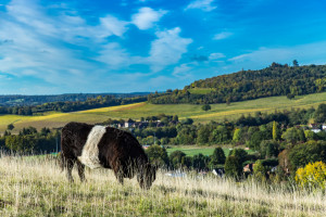 Çiftçiler ve İşletmeler için Miras Vergisi Muafiyet Eşiği 2,5 Milyon Sterline Yükseliyor