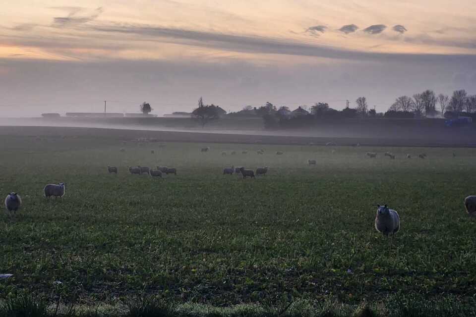 Reynolds: Çiftçilerin karlılığını artırmak için yeni ortaklık dönemiyle çiftçilere destek