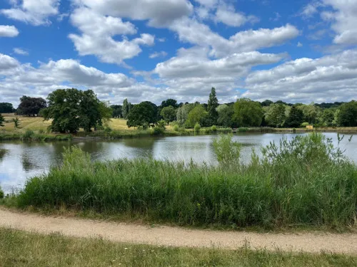 Hampstead Heath'te Yeni Vahşi Yaşam Koruma Alanı Çalışmaları Başladı