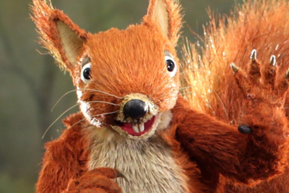 Cumbria'dan Doğal Sel Yönetimi Filmi 'Wood You Believe It' Uluslararası Ödül Kazandı