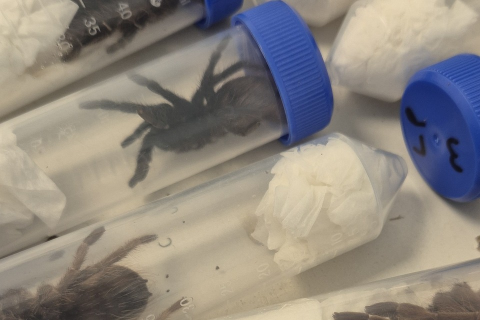 Sınır Gücü 250'den Fazla Nesli Tehlike Altındaki Tür Ele Geçirdi