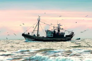 I-VMS Acil Güncellemesi: Succorfish Veri Aktarımını Durdurdu