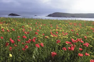 Natural England Yönetim Kurulu'nda Yeni Atamalar ve Yeniden Atamalar