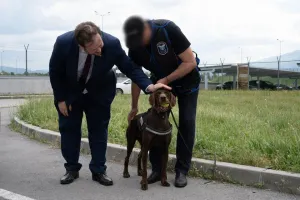 İngiltere, Bulgaristan'a Gönderdiği Yeni Narkotik Köpekleriyle Sınır Güvenliğini Güçlendiriyor